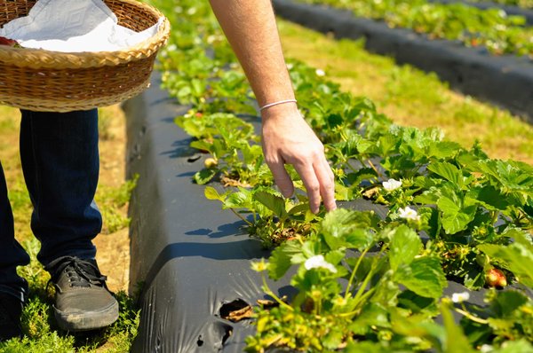 L'importance du forage pour le secteur de l'entreprise